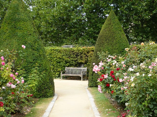 Garden in Paris