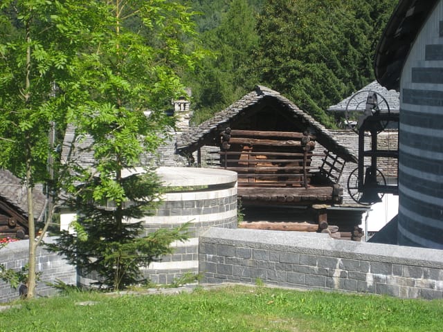 Mogno3