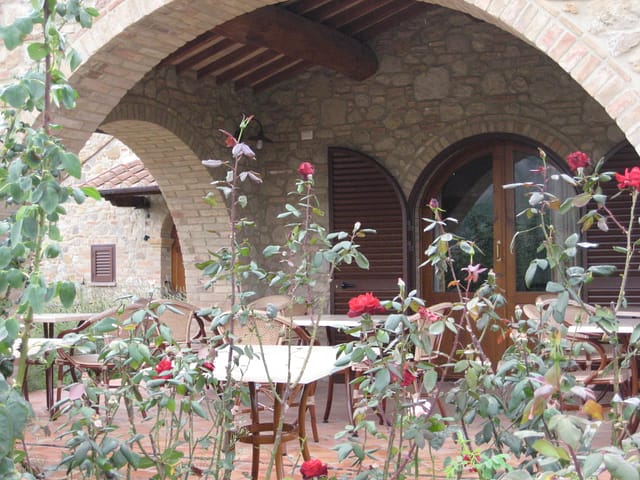 Patio and Garden at Sofia's house